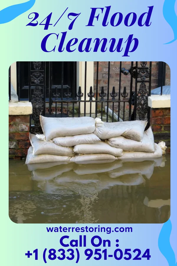 24/7 Flood Cleanup in Baldwin, IL