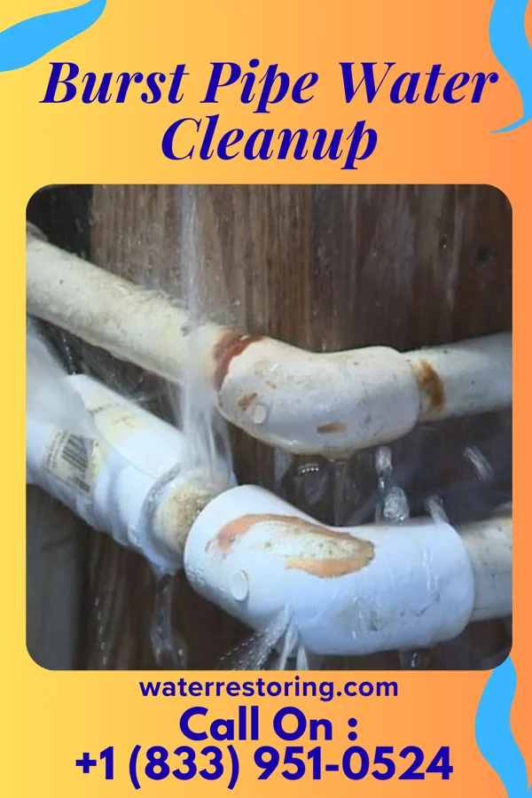 Burst Pipe Water Cleanup in Baldwin, IL