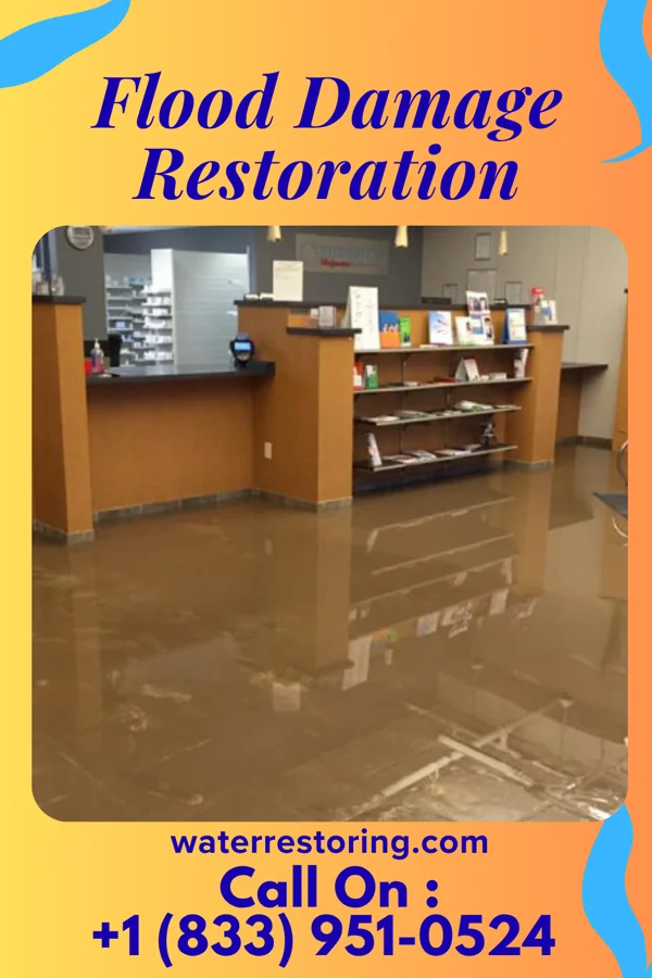 Flood Damage Restoration in Baldwin, IL