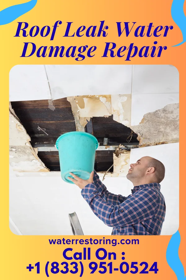 Roof Leak Water Damage Repair in Baldwin, IL