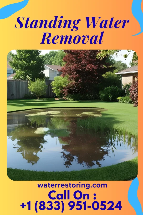 Standing Water Removal in Baldwin, IL